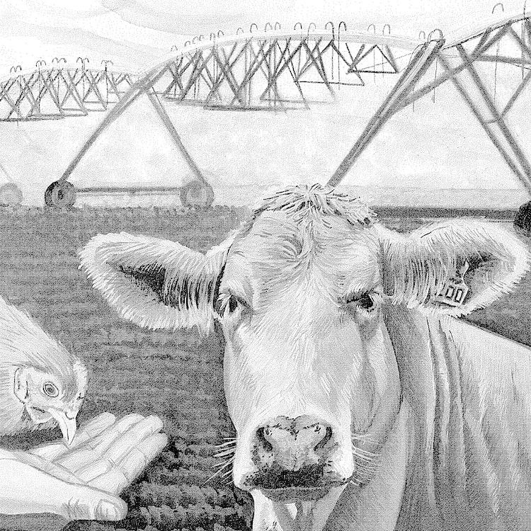 High school artists capture beauty of Georgia agriculture